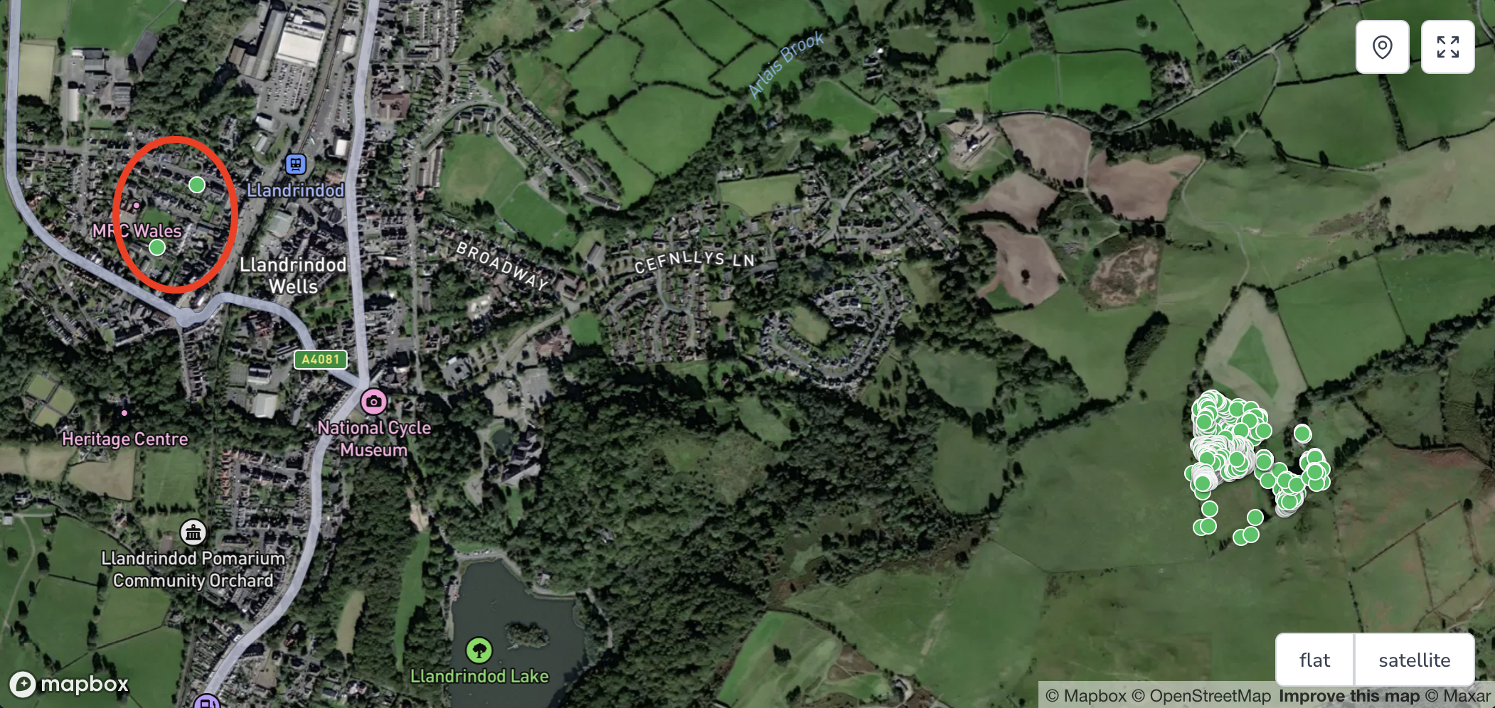 Two trees have wandered down the hill from the planting site and gone for a cheeky pint in town.